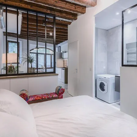 Plaisir Du Vieux Ail Apartment Lyon