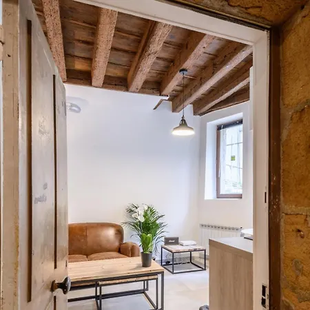 Plaisir Du Vieux Ail Lyon
